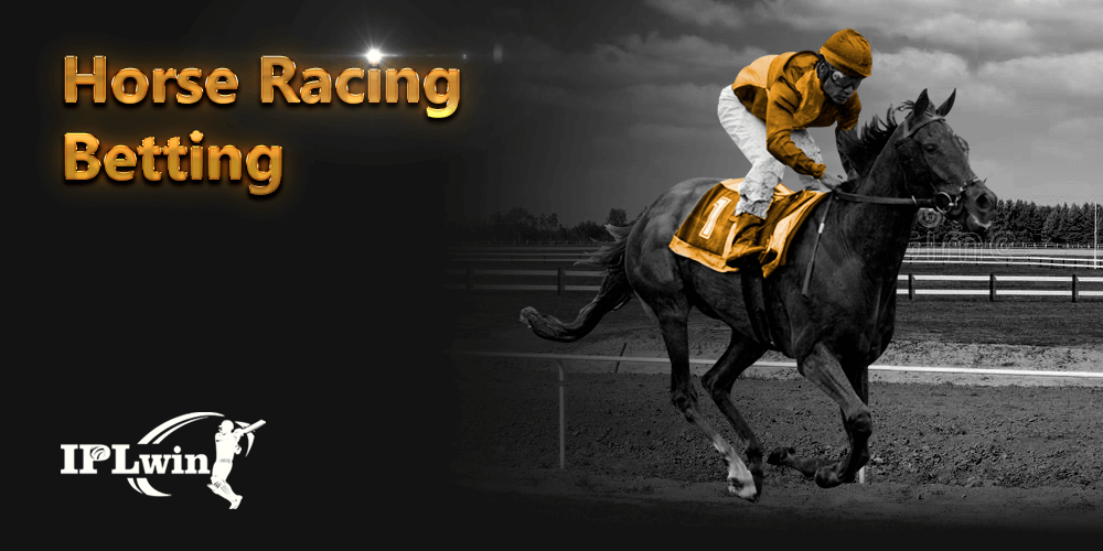 31bet