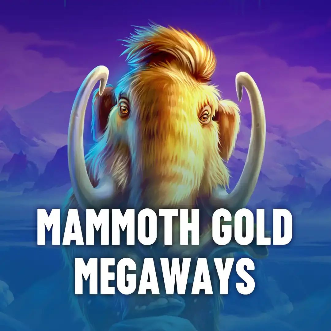 Real bet login