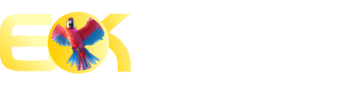 Pixbet. com - 2222bet
